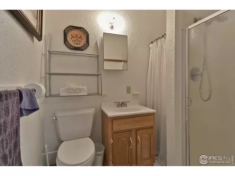 635 Lake Dr, Lyons, CO 80540 photo 32