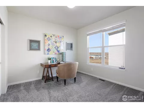 1905 E 167th Ln, Thornton, CO 80602 photo 22
