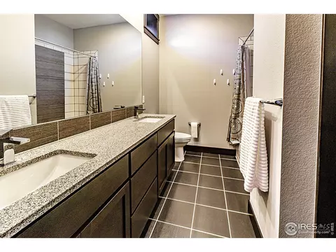 3252 Boundless Ln, Timnath, CO 80547 photo 32