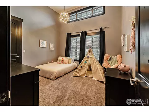 3252 Boundless Ln, Timnath, CO 80547 photo 23