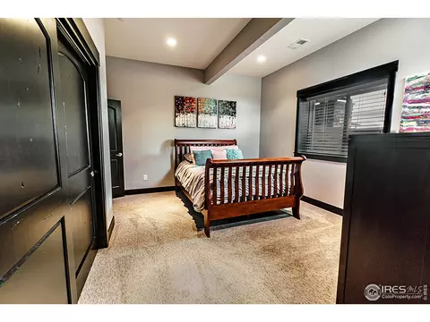 3252 Boundless Ln, Timnath, CO 80547 photo 36