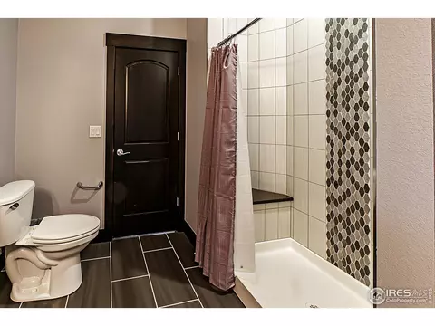 3252 Boundless Ln, Timnath, CO 80547 photo 33