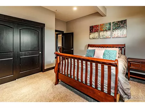 3252 Boundless Ln, Timnath, CO 80547 photo 37