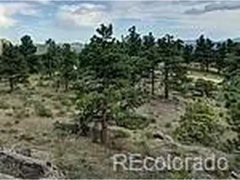 748 Haystack Dr, Livermore, CO 80536 photo 3