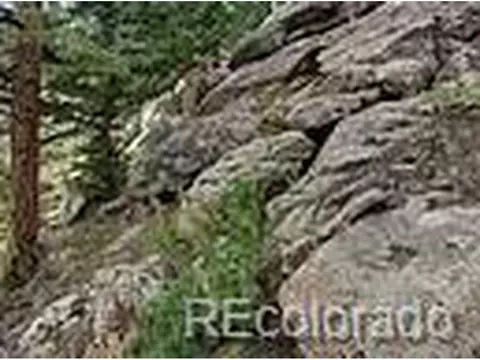 748 Haystack Dr, Livermore, CO 80536 photo 5