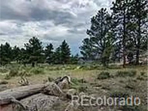 748 Haystack Dr, Livermore, CO 80536 photo 4