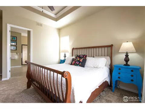 2054 Vineyard Dr, Windsor, CO 80550 photo 13