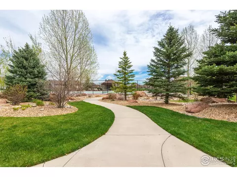 2054 Vineyard Dr, Windsor, CO 80550 photo 29