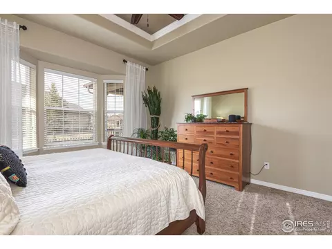 2054 Vineyard Dr, Windsor, CO 80550 photo 14