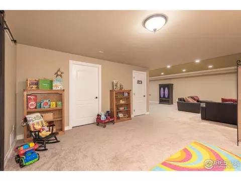 2054 Vineyard Dr, Windsor, CO 80550 photo 24