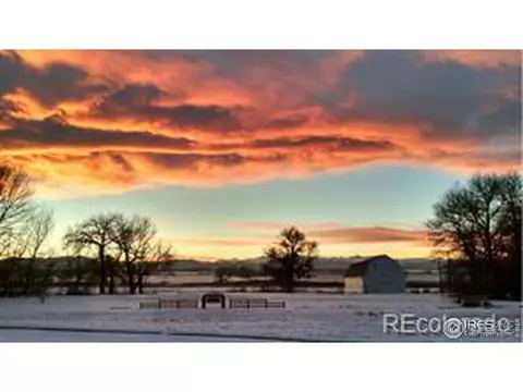 1980 E 148th Pl, Thornton, CO 80602 photo 20