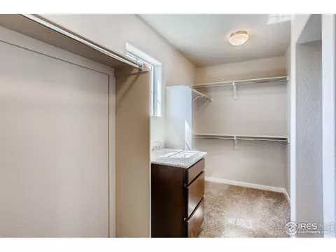 2157 Crop Row Dr, Windsor, CO 80550 photo 14