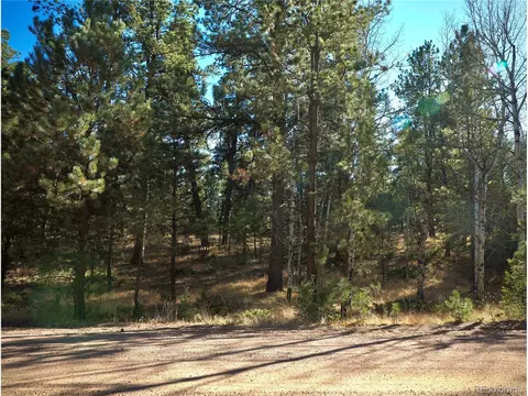 444 Black Mesa Cir, Florissant, CO 80816