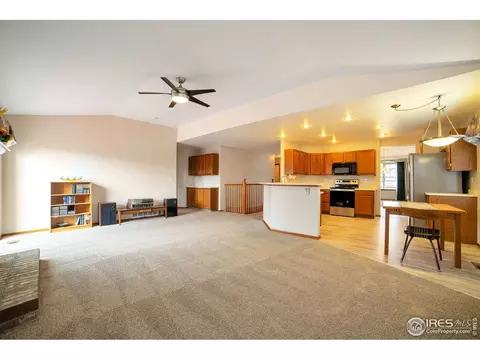3583 E 134th Pl, Thornton, CO 80241 photo 14