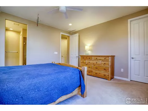 370 Chipman Dr, Windsor, CO 80550 photo 15