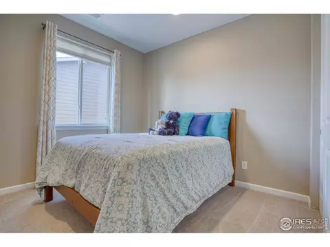 370 Chipman Dr, Windsor, CO 80550 photo 18