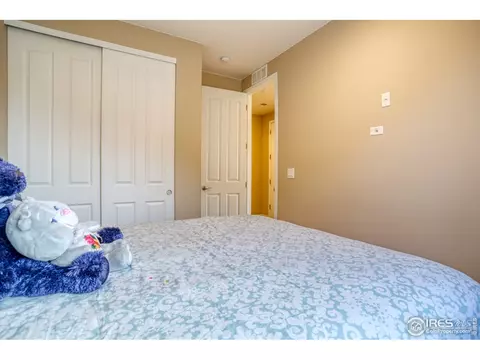 370 Chipman Dr, Windsor, CO 80550 photo 19