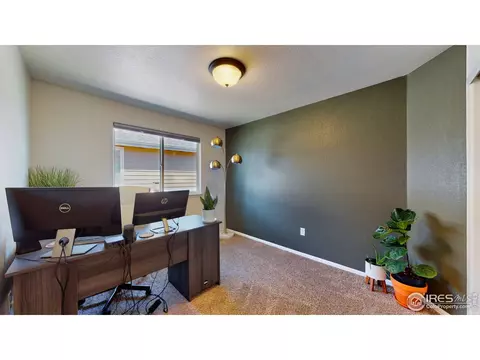 2155 Grain Bin Dr, Windsor, CO 80550 photo 24
