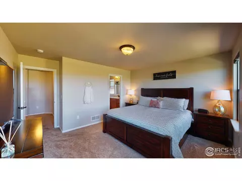 2155 Grain Bin Dr, Windsor, CO 80550 photo 17