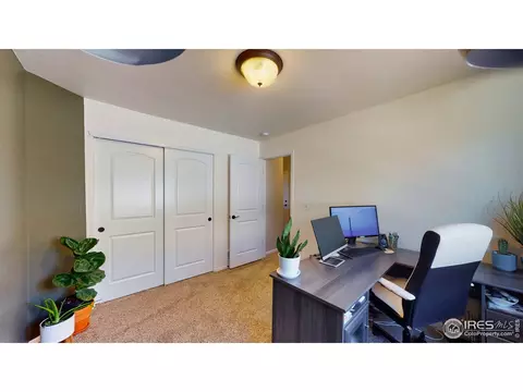 2155 Grain Bin Dr, Windsor, CO 80550 photo 23