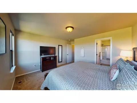 2155 Grain Bin Dr, Windsor, CO 80550 photo 18