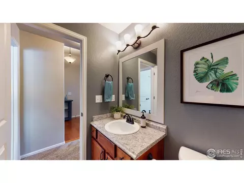 2155 Grain Bin Dr, Windsor, CO 80550 photo 26