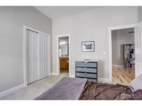 1540 Sandy Ln, Windsor, CO 80550 photo 24