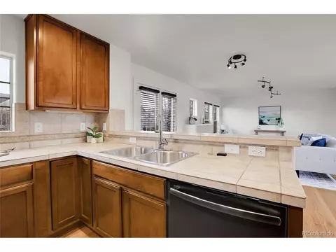 10108 E 31st Ave, Denver, CO 80238 photo 11
