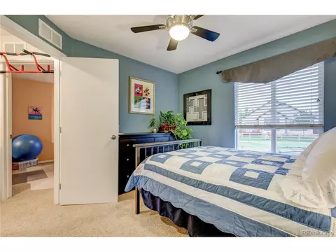 3460 E 123rd Dr, Thornton, CO 80241 photo 23