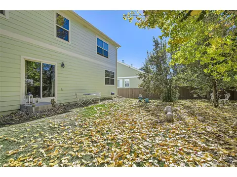 608 Botley Dr, Windsor, CO 80550 photo 24