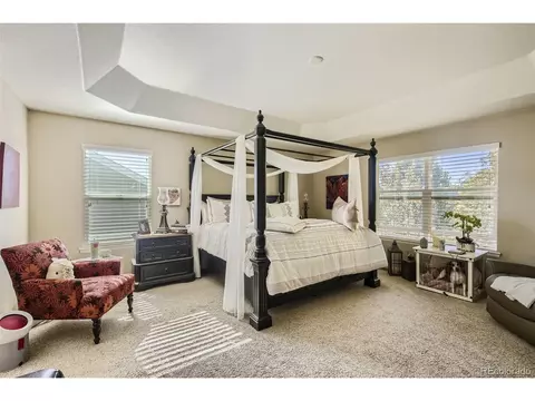 608 Botley Dr, Windsor, CO 80550 photo 13