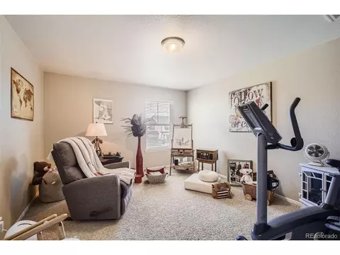 608 Botley Dr, Windsor, CO 80550 photo 19