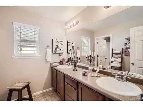 608 Botley Dr, Windsor, CO 80550 photo 20