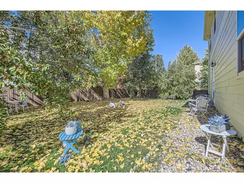 608 Botley Dr, Windsor, CO 80550 photo 25