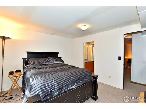 710 Jay Pl, Berthoud, CO 80513 photo 25