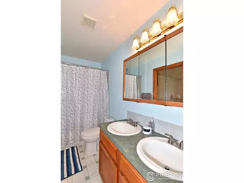 710 Jay Pl, Berthoud, CO 80513 photo 19