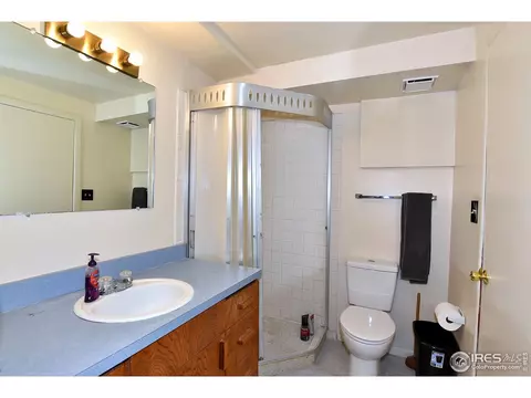 710 Jay Pl, Berthoud, CO 80513 photo 27