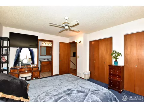 710 Jay Pl, Berthoud, CO 80513 photo 18