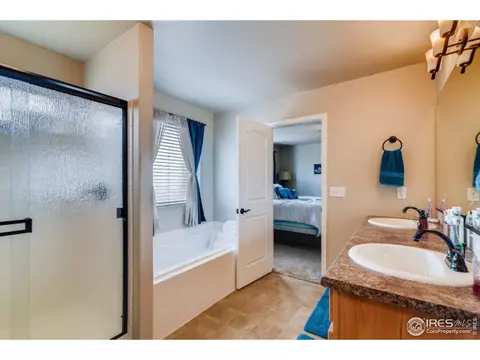 558 Ellingwood Pointe Dr, Windsor, CO 80550 photo 18