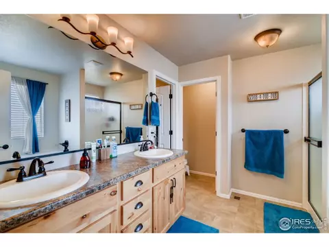 558 Ellingwood Pointe Dr, Windsor, CO 80550 photo 17