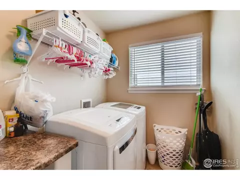 558 Ellingwood Pointe Dr, Windsor, CO 80550 photo 22