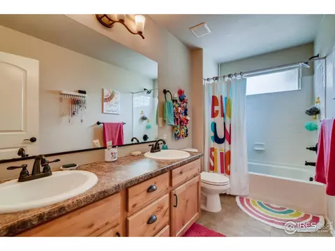 558 Ellingwood Pointe Dr, Windsor, CO 80550 photo 20