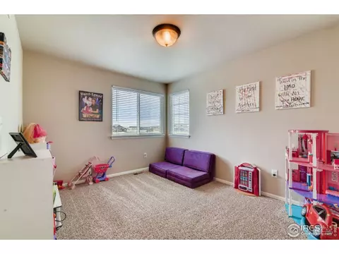 558 Ellingwood Pointe Dr, Windsor, CO 80550 photo 24