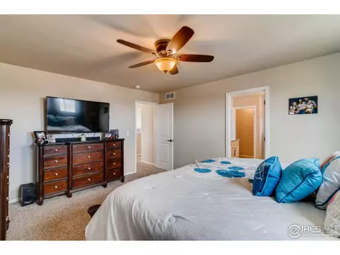 558 Ellingwood Pointe Dr, Windsor, CO 80550 photo 16