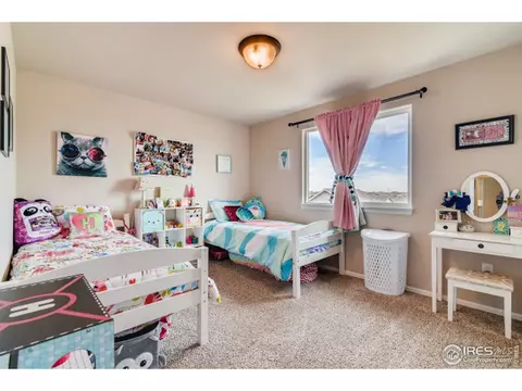 558 Ellingwood Pointe Dr, Windsor, CO 80550 photo 19