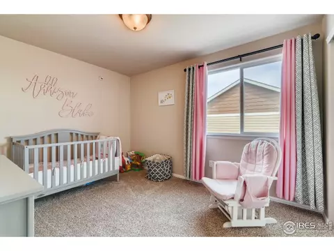 558 Ellingwood Pointe Dr, Windsor, CO 80550 photo 23