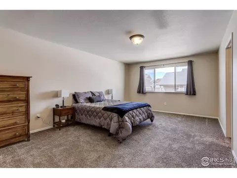 925 Mt Shavano Ave, Severance, CO 80550 photo 20