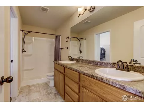 925 Mt Shavano Ave, Severance, CO 80550 photo 25
