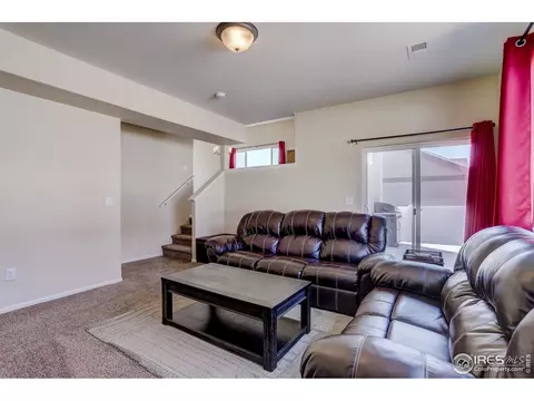 925 Mt Shavano Ave, Severance, CO 80550 photo 19