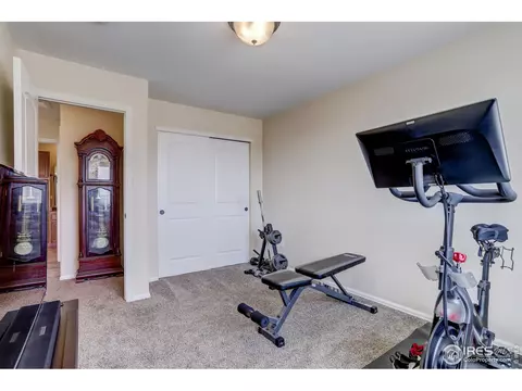 925 Mt Shavano Ave, Severance, CO 80550 photo 32